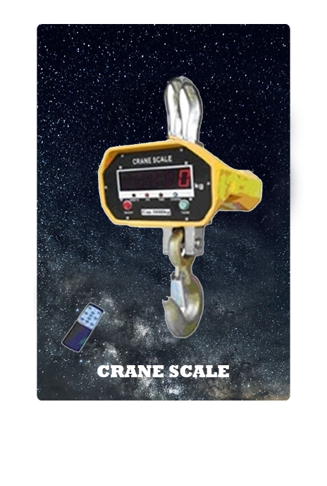crane scales faridabad india